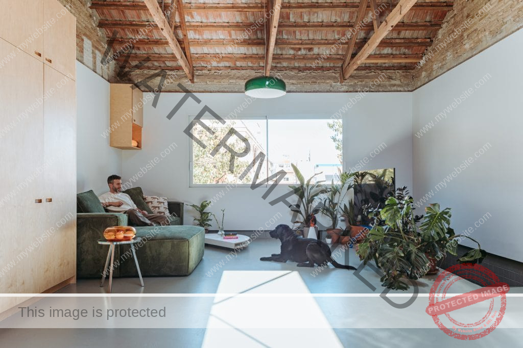 Cruda House: MEII ESTUDIO가 설계한 스페인 주거 공간의 혁신과 지속 가능성 4 casa cruda meii estudio 11